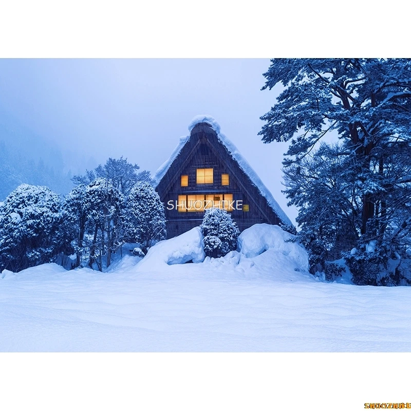SHUOZHIKE Thin Cloth Photography Backdrops Prop Snow scene Photography Background  2021112XJ-06