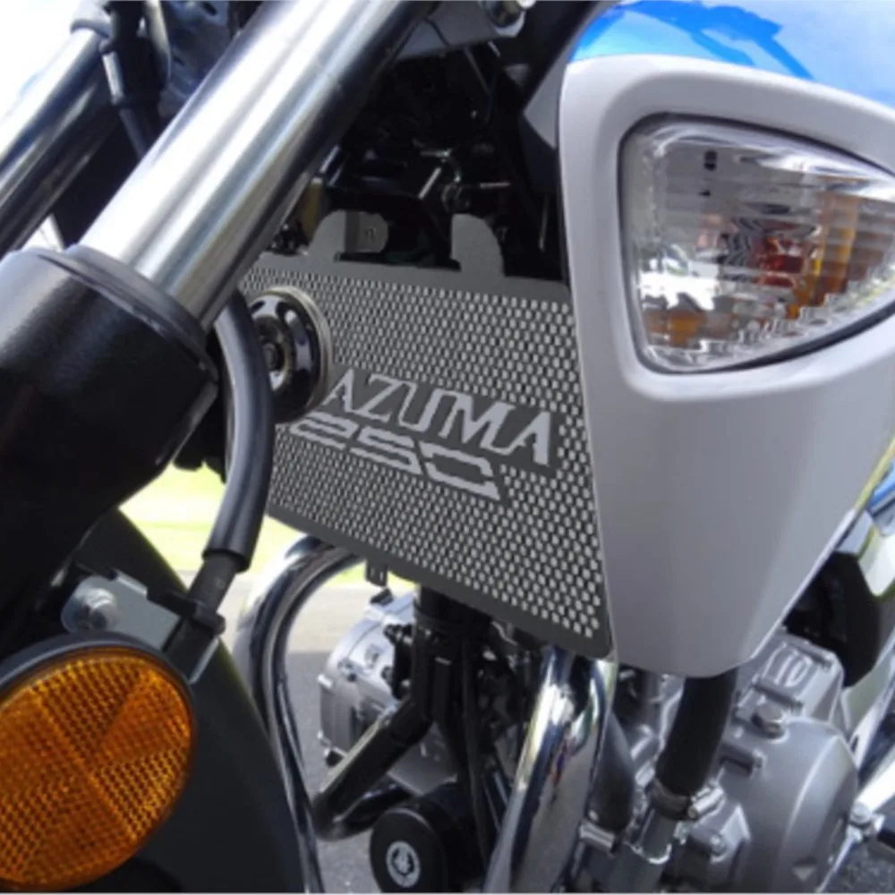 

Motorcycle Accessories FOR Suzuki GW250 Inazuma GW GSR 250 GSR250 2013-2014-2015-2016-2017 Radiator Grille Guard Protector Cover