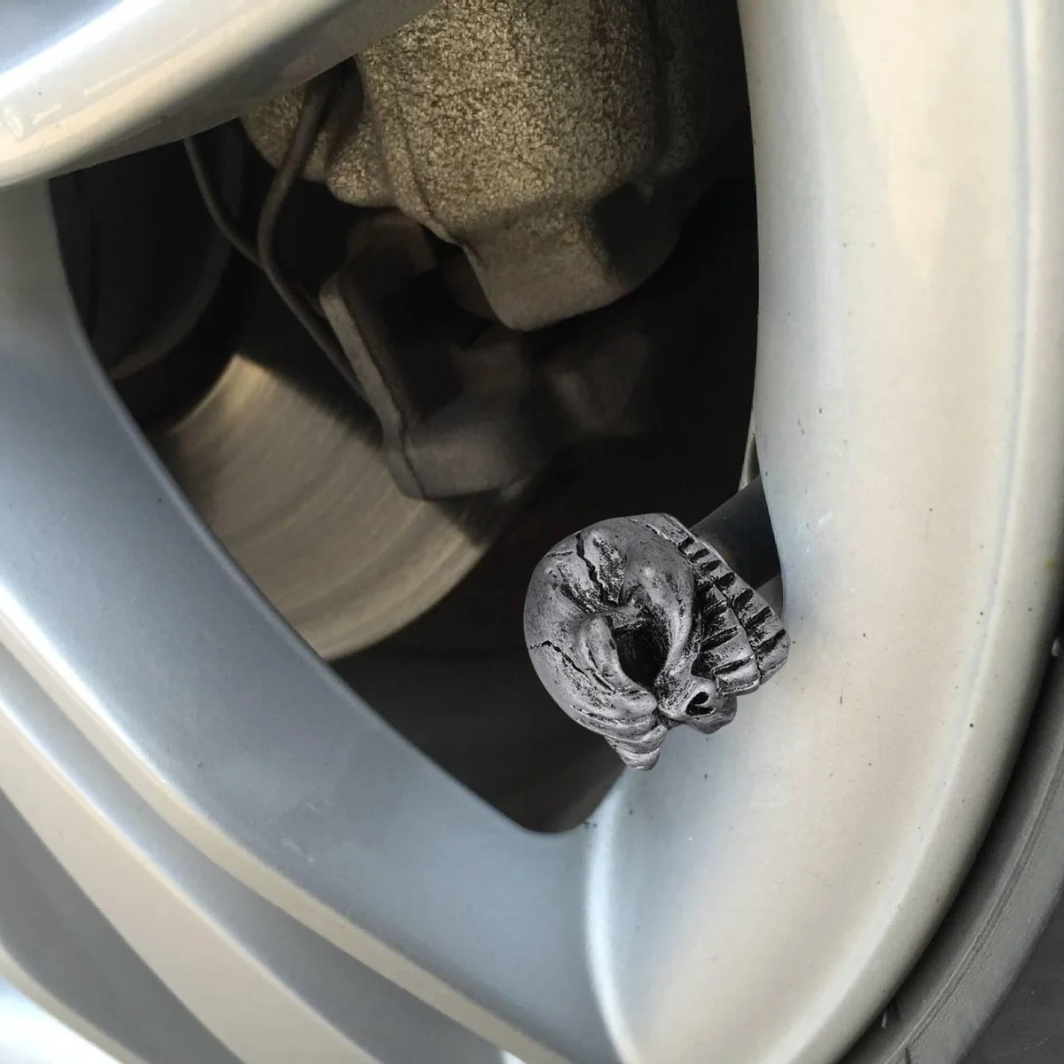 Рисунок 6 - 1 комплект, шины с головой черепа