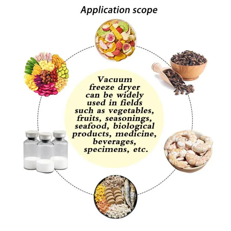 Máquina de secado automática controlada por PLC, liofilizador de frutas y café seco para procesamiento de alimentos
