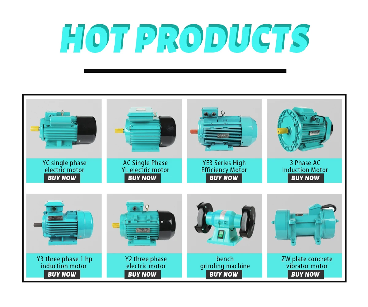 YL100L-2 Series Single Phase Motor 3KW 4HP 2P 2800RPM Electric Asynchronous Motor