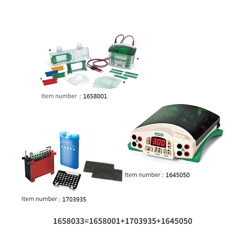 Kit de electroforesis vertical pequeño Bio-Rad 1658033: Evaluación técnica y uso práctico en laboratorios de biología molecular