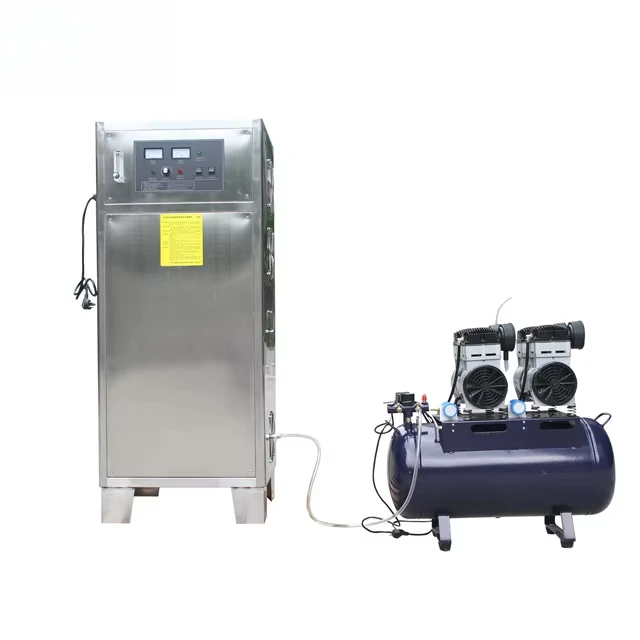 

100g Water Treatment Equipement Ozone Generator for Swimming Pool