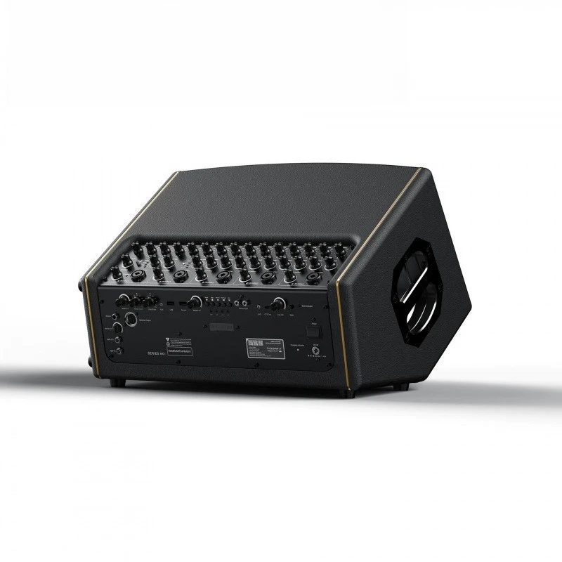 600W Outdoor Musical Instrument Audio Guitar Professional Bluetooth Playing and Singing Speaker