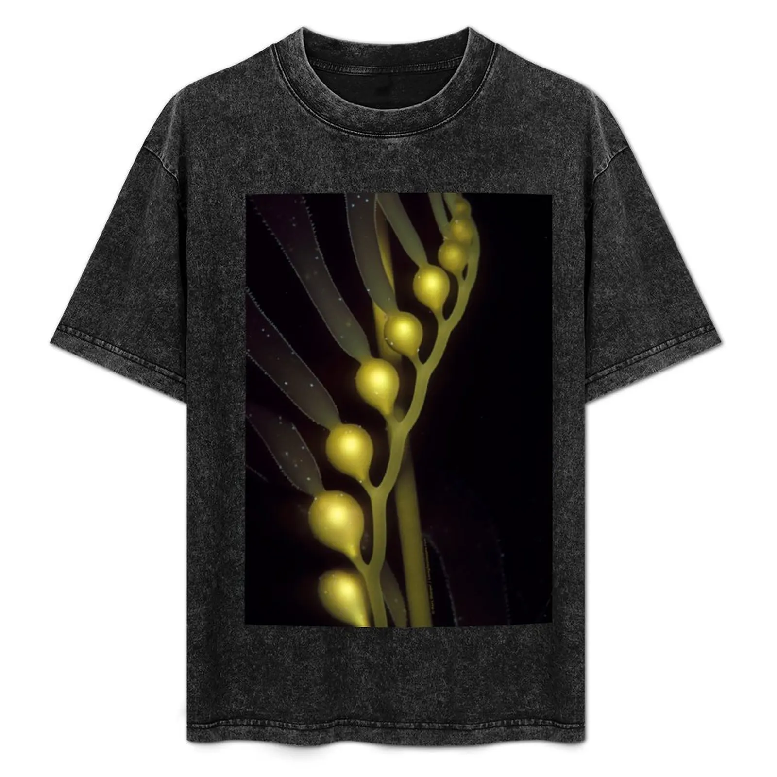 Giant Kelp helix T-Shirt anime stuff blanks shirts graphic tee anime shirts men