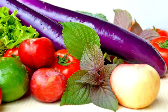 메탈 25t 스티어링 암 서보 혼 7075 1/10 RC 크롤러용 Axial Scx10 Yikong Rgt Rc4wd Trax Trx4 Trx-6 부품