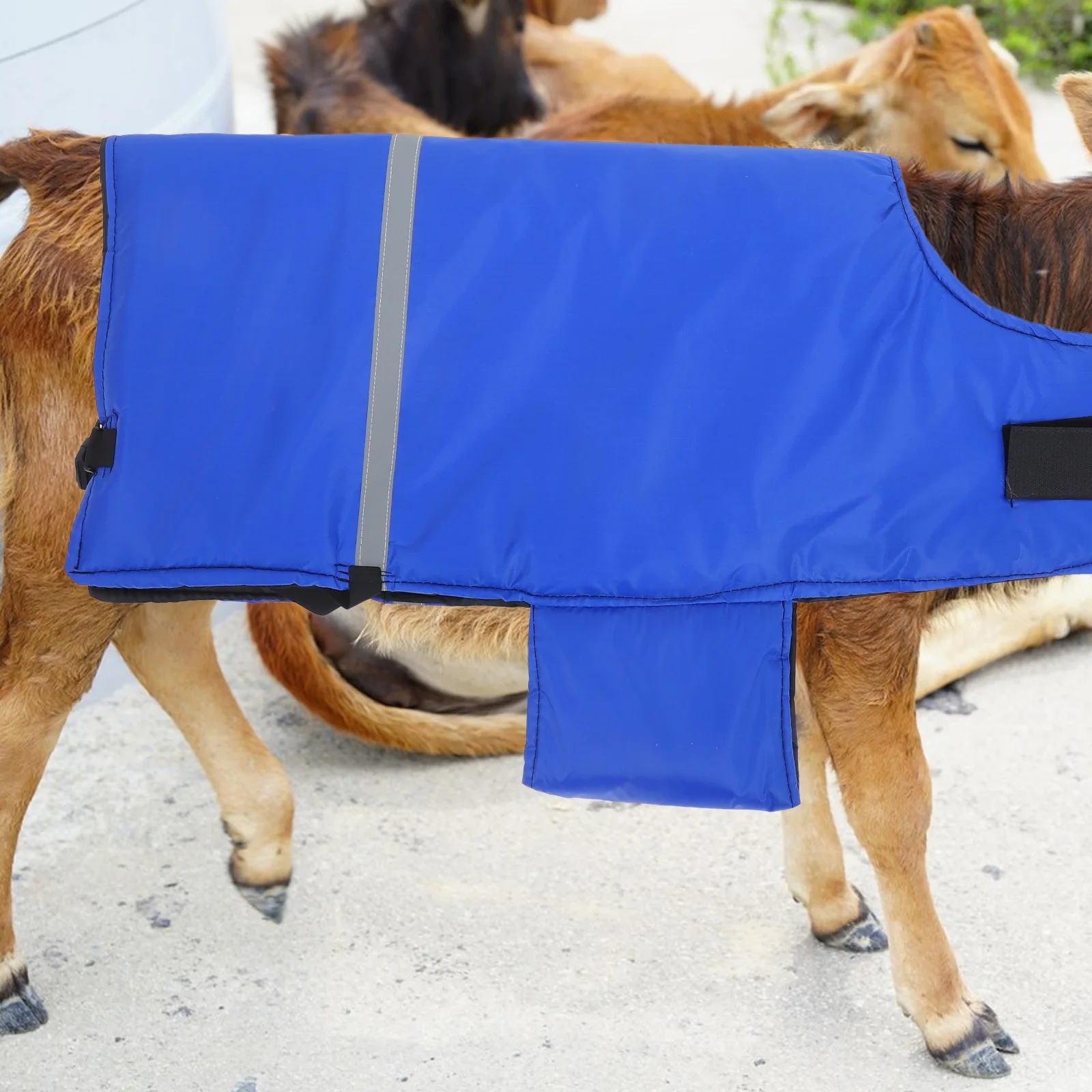 

Calf Warm Clothes Waterproof Oxford Cloth Winter Cow Calf Vest Coat Cold Prevention Farm Animal Blanket Livestock Warm Apparel