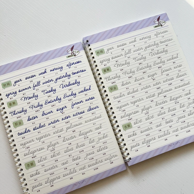 Reusable Italic Script Practice Copybook - English Alphabet & Calligraphy Handwriting Book