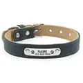 Collar-Green