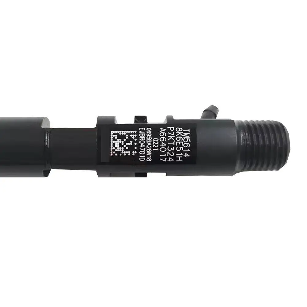 A6640170221  Diesel Fuel Injection Injector EJBR04701D EJBR03401D for SSANGYONG