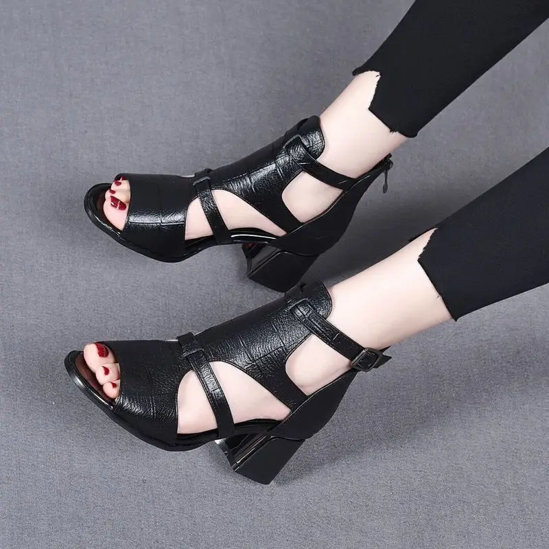 High Heeled Sandals Female 2023 New Summer Fish Mouth Shoes Chunky Heel Roman Back Zipper Sandals Solid Casual Sandales Femmes