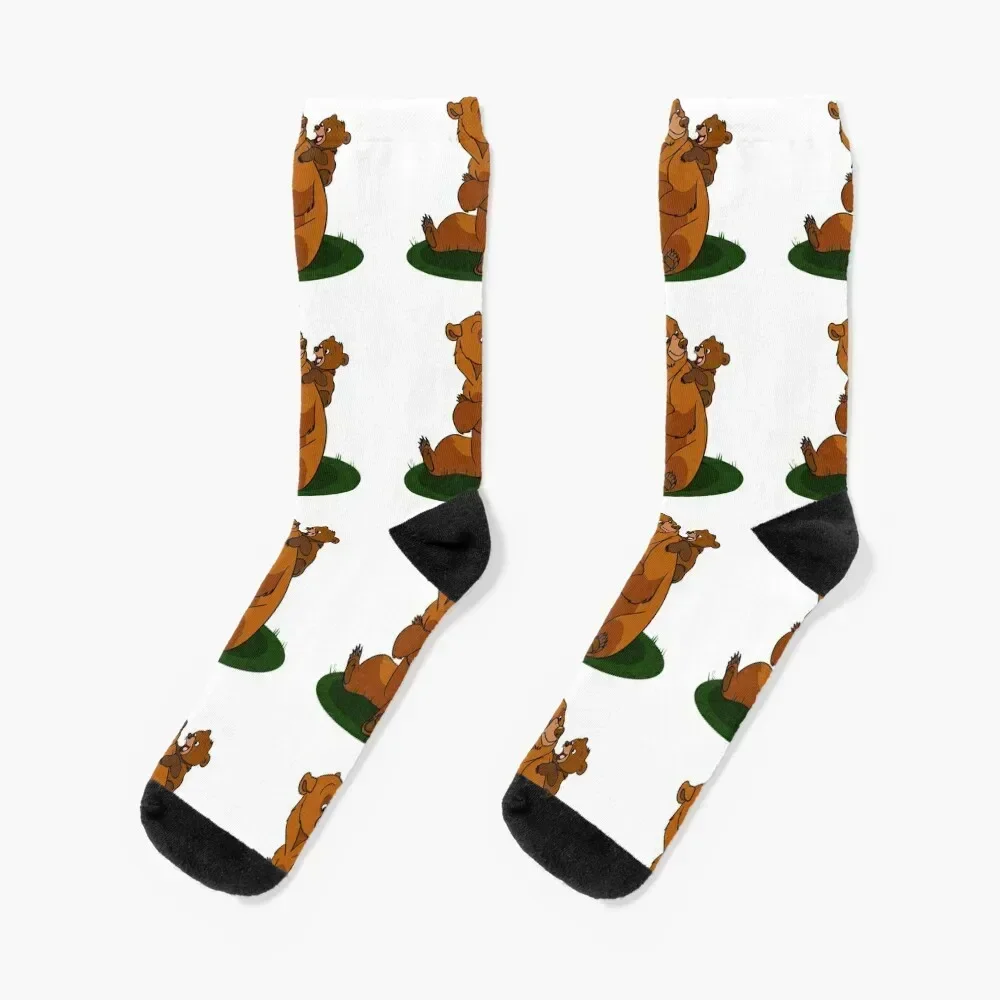 Brother Bear Socks Rugby fashionable moving stockings heated Socks Men Women's