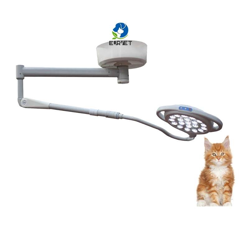 Cheap Portable LED Exam Light Wall Mounted Exam Light Luxury Veterinary Equipment for Clinic Price