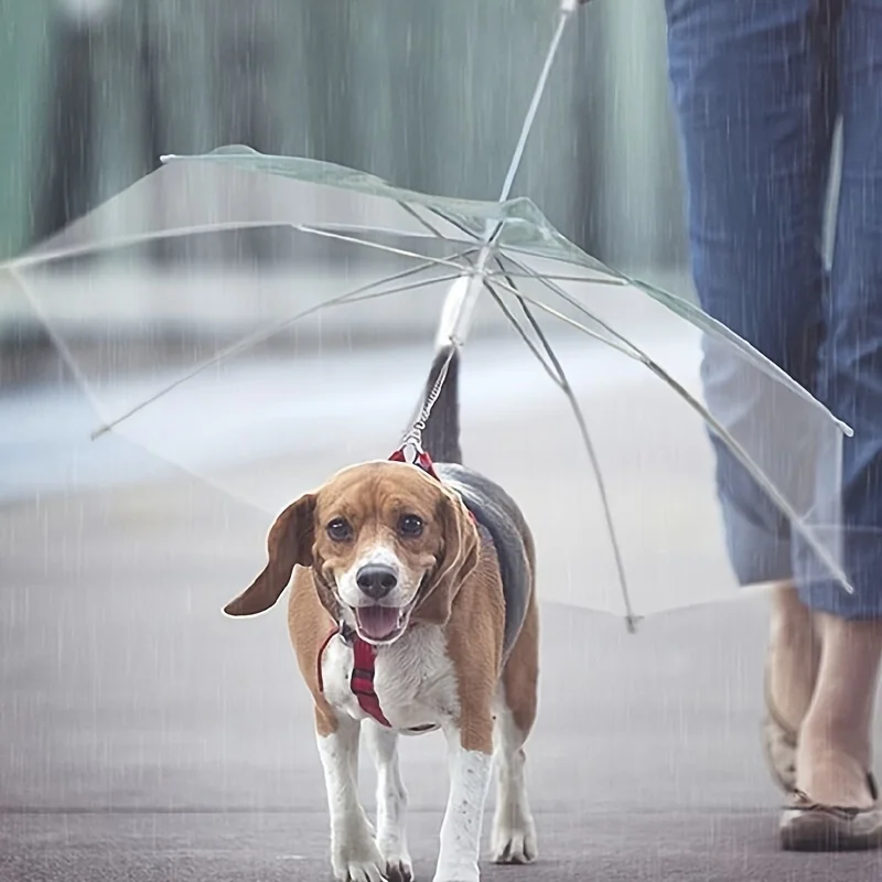 Dog Walking Umbrella Transparent Umbrella Adjustable Pet Umbrella Rainy Day Dog Walking Leash