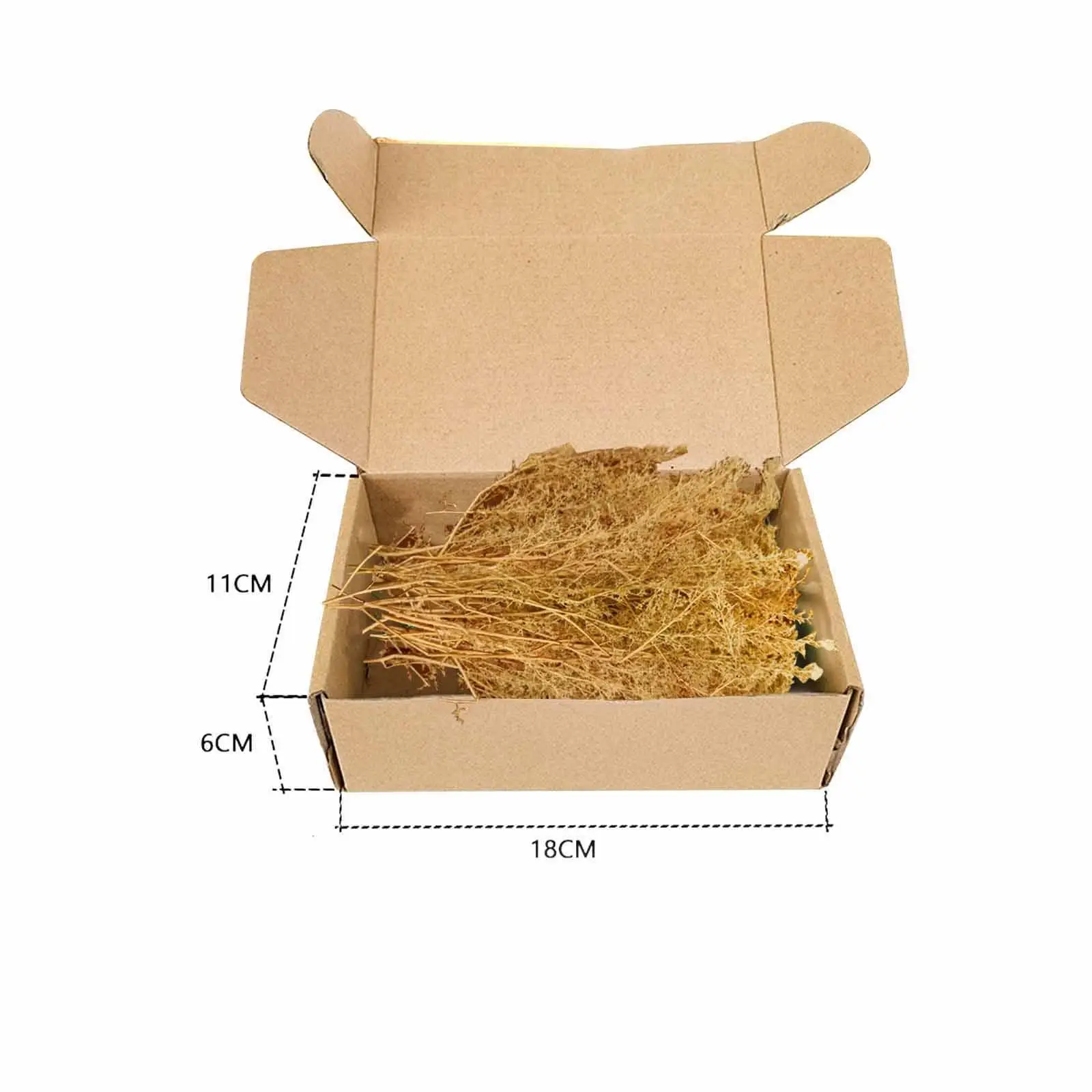 Drzewka modelarskie Mikrokrajobraz Dekoracja Model kolejowy Stół z piaskiem Materiały modelarskie 1/48 1/35 Materiały modelarskie do modeli kolejowych Architektura kolejowa