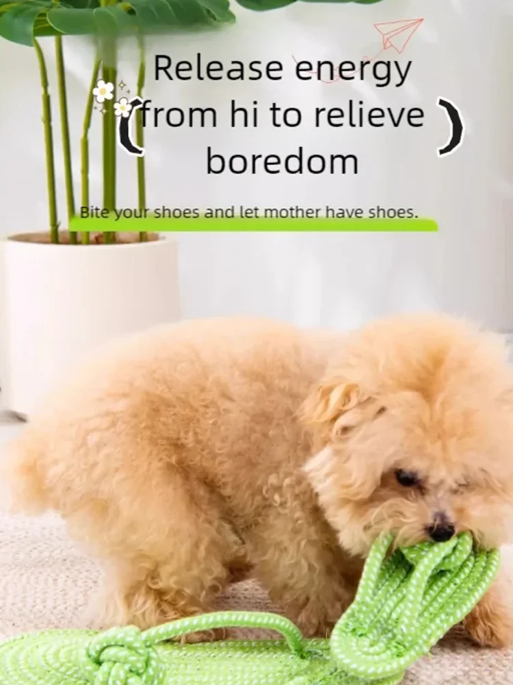Thumbnail 2 - #71 Best Puppy Chew Toys to Buy In 2026