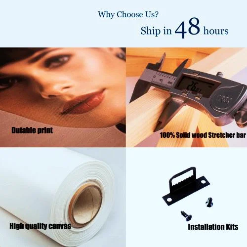 الوردي فلويد الجانب الداكن من القمر المشارك تخصيص مطبوعة قماش اللوحة للصور جدار الفن الديكور الداخلي غرفة المنزل