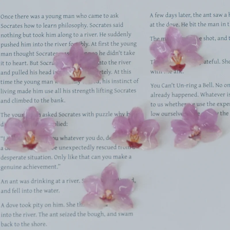 

DIY Jewelry Natural Pink Resin Orchid Kit Handmade Earrings Rings Necklaces Bracelets Craft Materials Making Accessories Set New