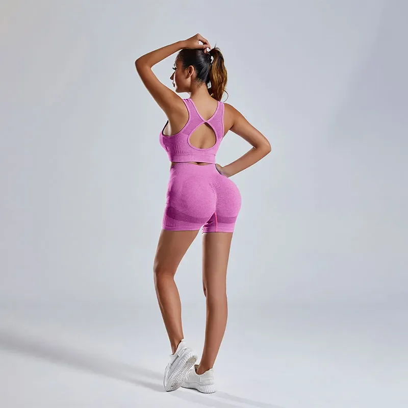 Traje de Fitness para mujer, conjunto de 2 piezas de Sujetador deportivo con espalda hueca, pantalones cortos de cintura alta, traje de Yoga