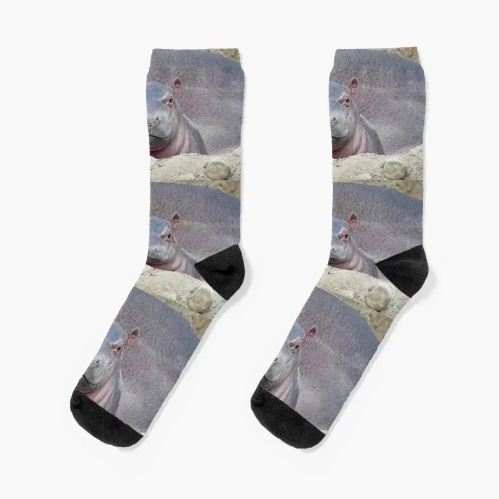 

Baby Hippo Fritz at the Cincinnati Zoo Socks moving stockings sport Stockings man Women Socks Men's