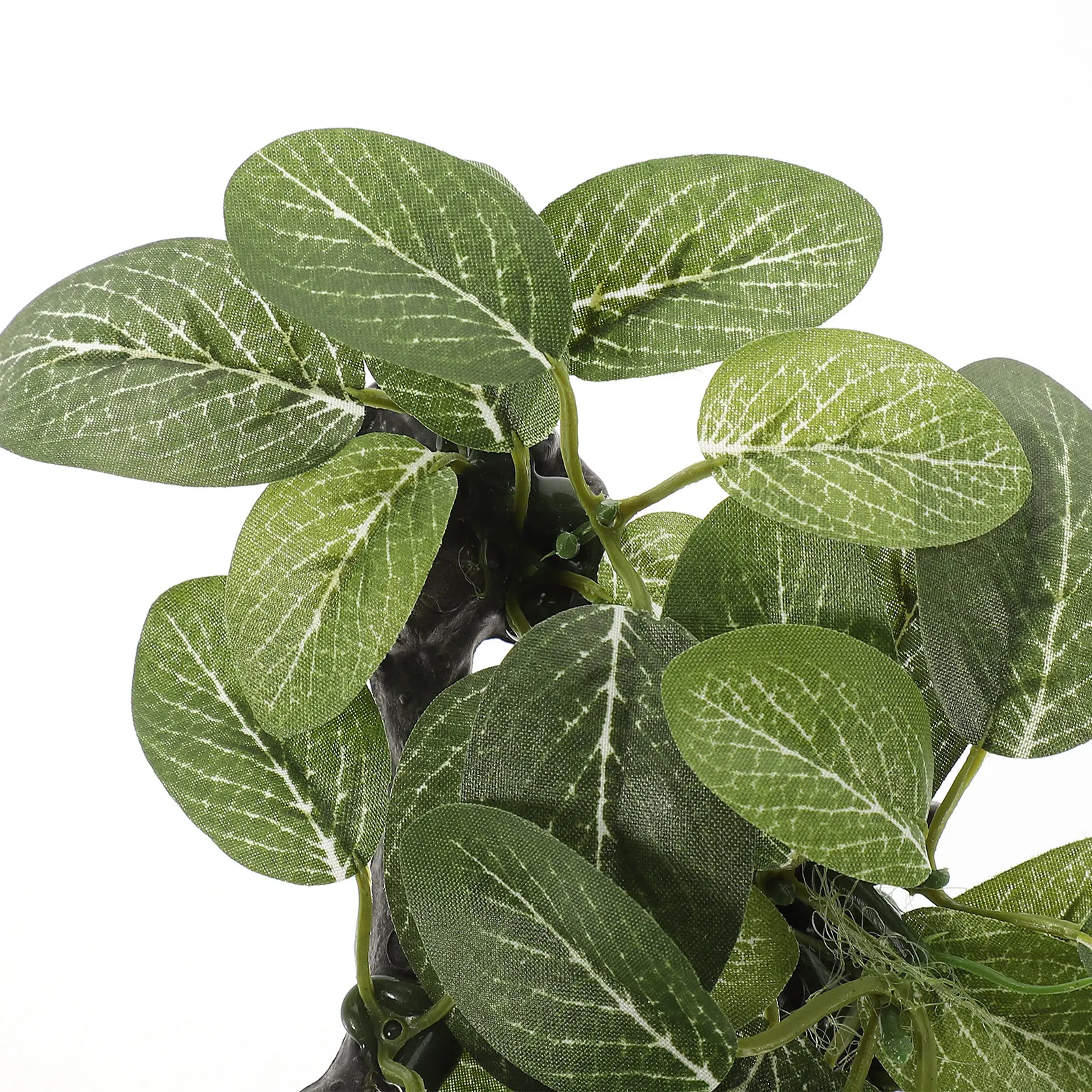 

Lifelike Aquarium Plants Fish Decorations Water Tank Ornament Steady Base Saltwater Freshwater Compatiblepet Supplies