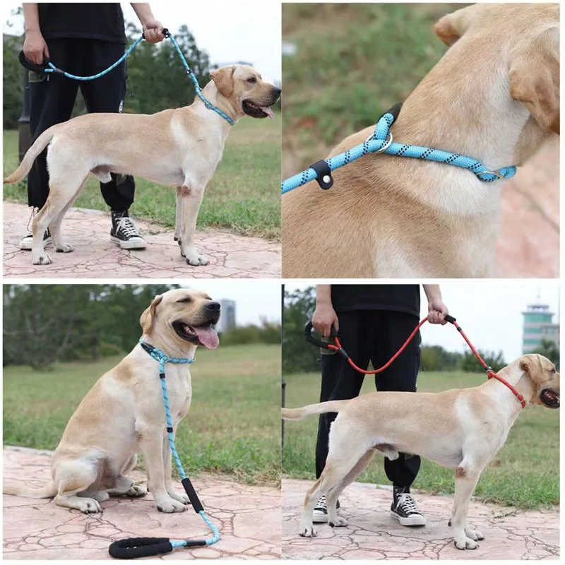 2 in 1 Reflective Dog Leash and Collar 150cm Nylon Pet Rope for Small Medium Dogs Malinois Golden Retriever Puppy Accessories