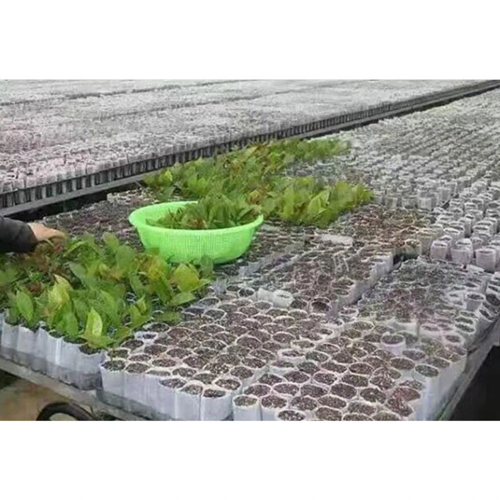

500pcs Biodegradable Non-Woven Nursery Bags Eco-Friendly Plant Grow Bags Fabric Pots For Seedlings Fruits Vegetables Flowers