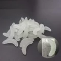 transparent white