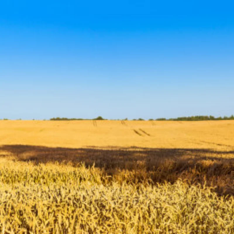 

Ajrc 1.9 Inch 120mm Rubber Tires For 1/10 Rc Crawler Car Trx4 Scx10 90046 D90 Rgt Rc Car