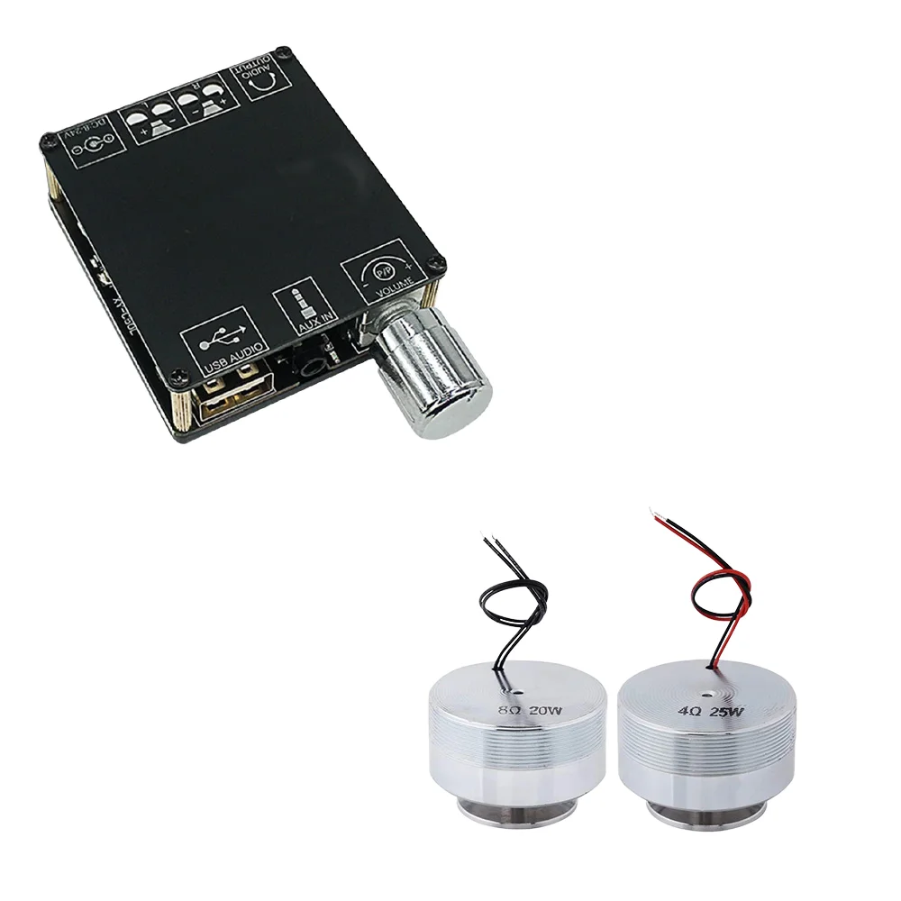 Samtronic Vibration Full Range Speaker+ Amplifier 50mm Audio Mini Portable 4/8 Ohm 50-100W Resonance Stage Metal Cabinet