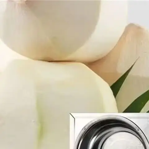 Stainless Steel Electric Coconut Processing Machine Grater Coconut Meat Grinder Grating Scrapper Scraper Machine