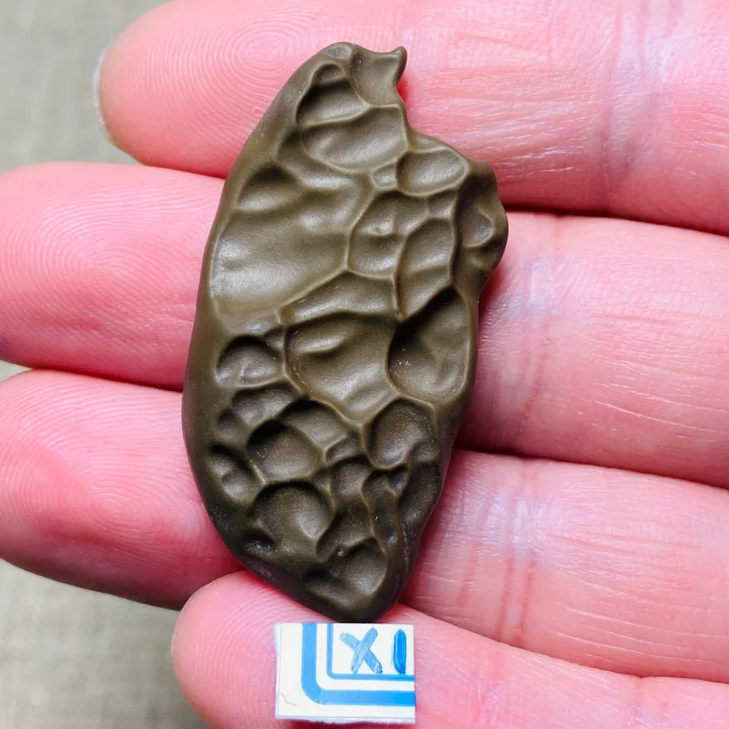 Natural Gobi Desert Mudstone Mineral Specimen with Unusual Texture Energy Chakra Stone