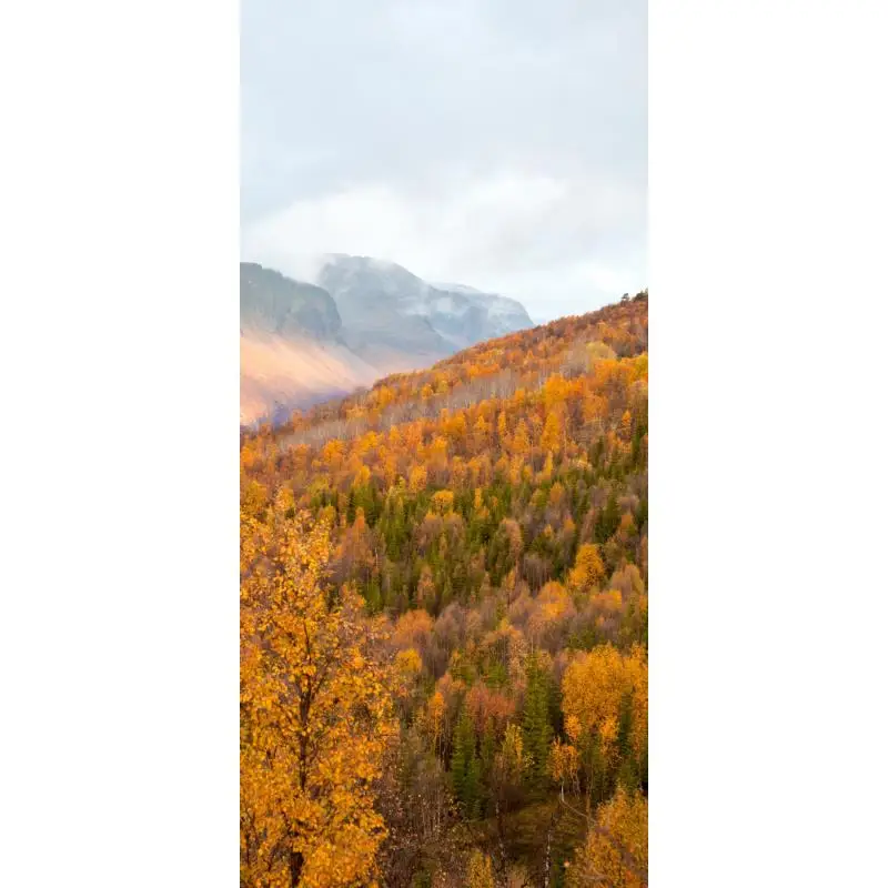 PN532 Near Field Co…