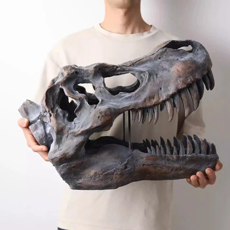 Large size Tyrannosaurus rex skull model Dinosaur ornament figurine for home and office entrance decoration