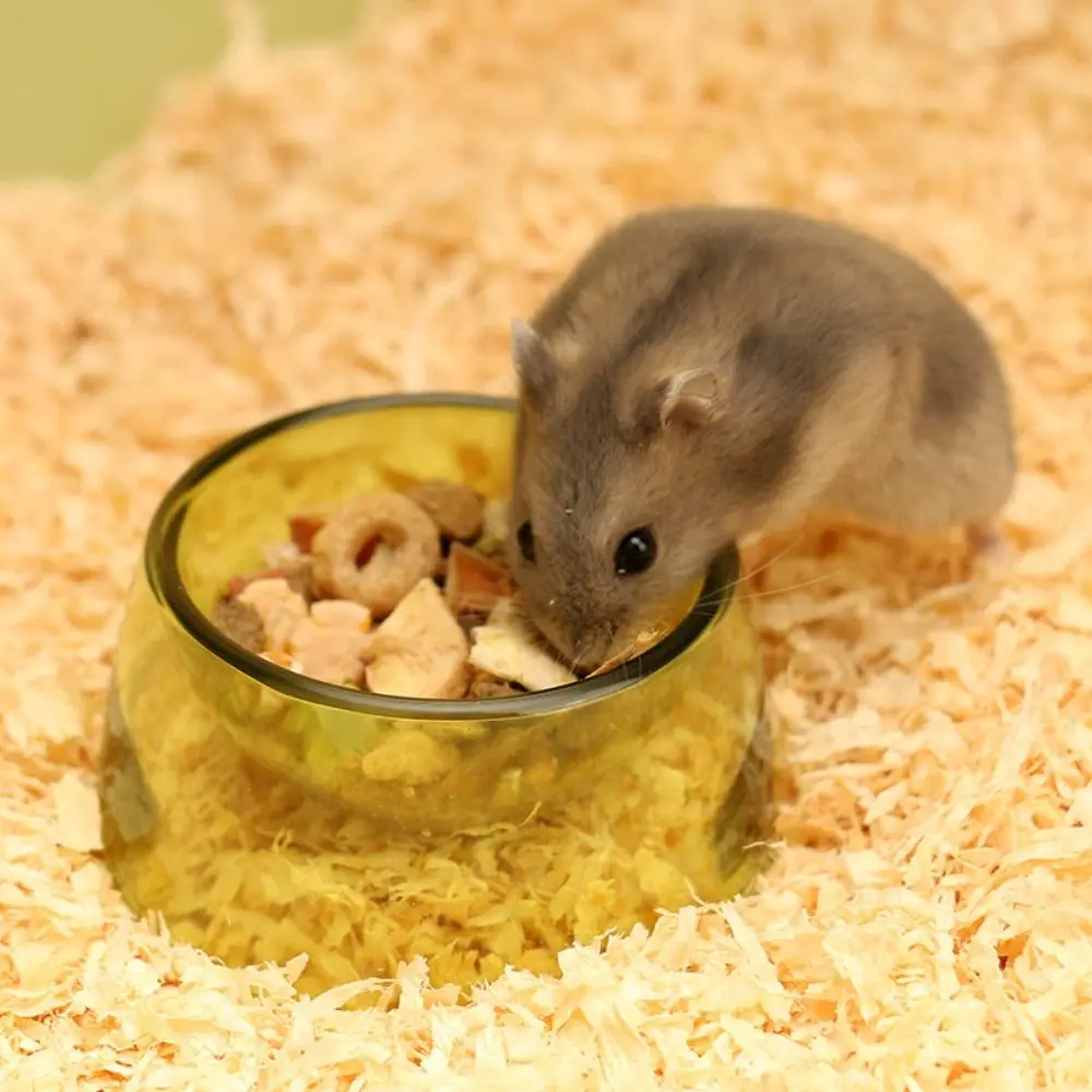 Bite Resistant Hamster Food Basin Non-slip Plastic Hamster Water Bowl Transparent Rat Food Water Dish