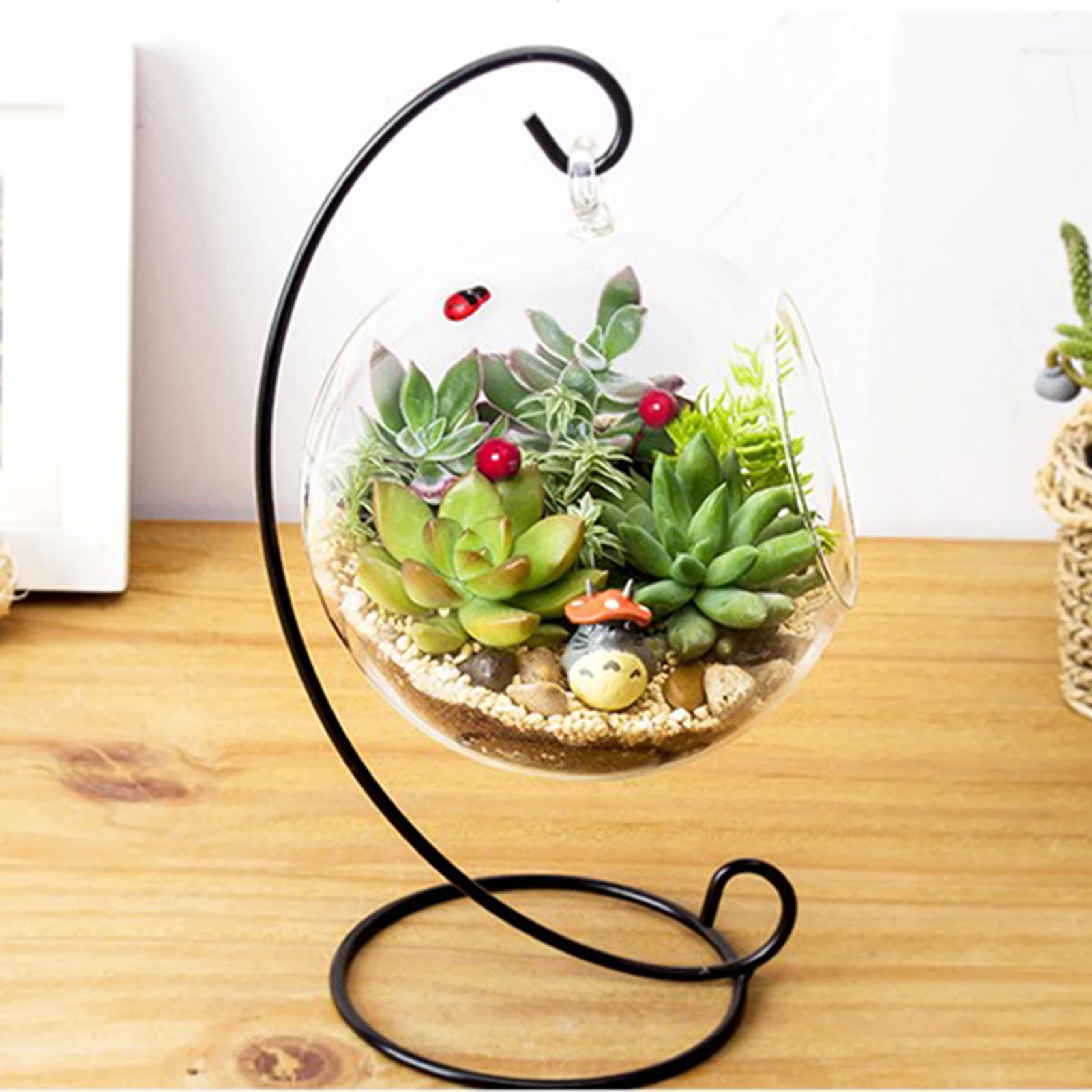 

Hanging Glass Vase Large Terrarium With Frame For Air Plants Succulent Planters