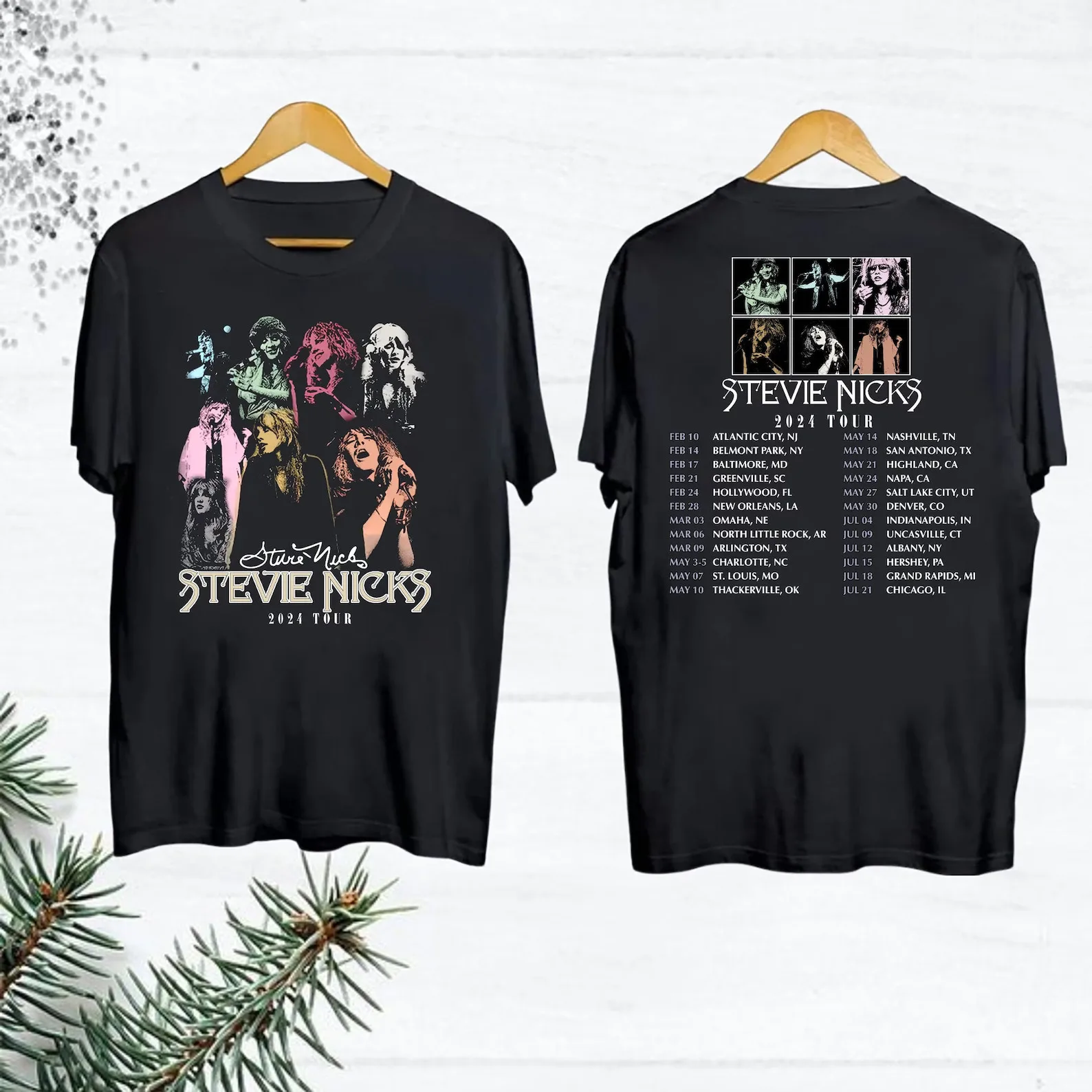 Stevie Nicks 2024 Tour Merch, 2024 Stevie Nicks Live In Concert T-Shirt