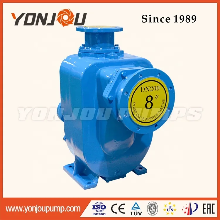 Self-priming Centrifugal Marine Bilge / Ballast Pump Electric Cast Iron Horizontal 3 Hp Oil and Marine 100% Copper Wire 40 Mm