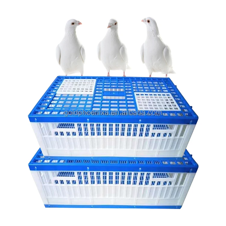 Yyc Plastic Three D…