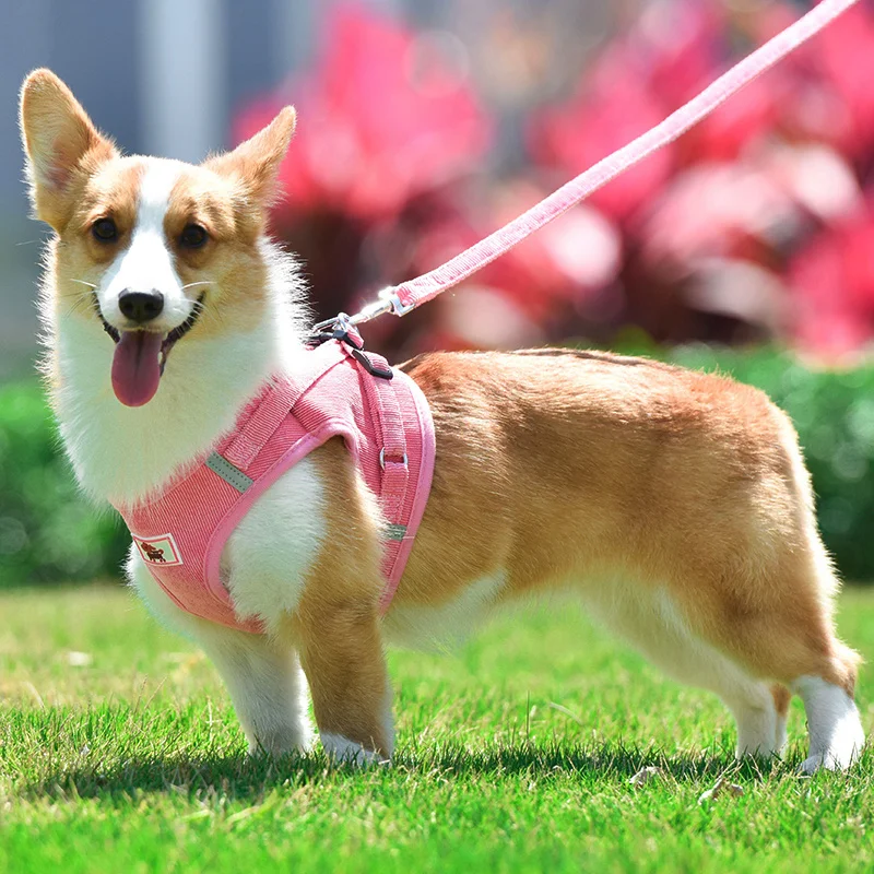 Summer Pet Dog Vest Harness and Leash Sets Reflective Mesh Harnesses for Small Dogs Pomeranian Corgi Yorkshire Puppy arnes perro