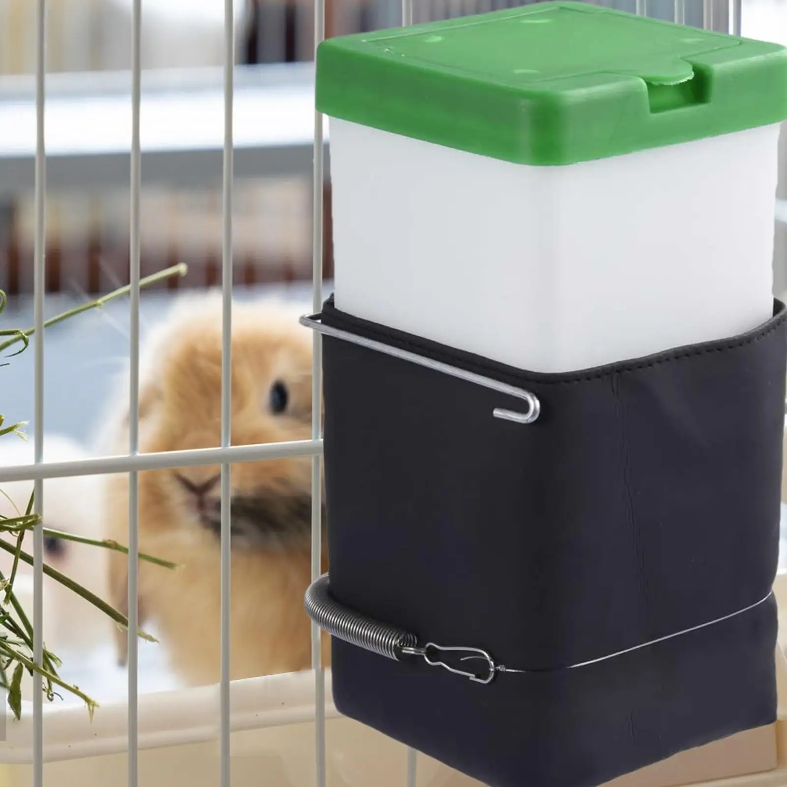 Thumbnail 2 - #18 Trending Small Animal Supplies Right Now