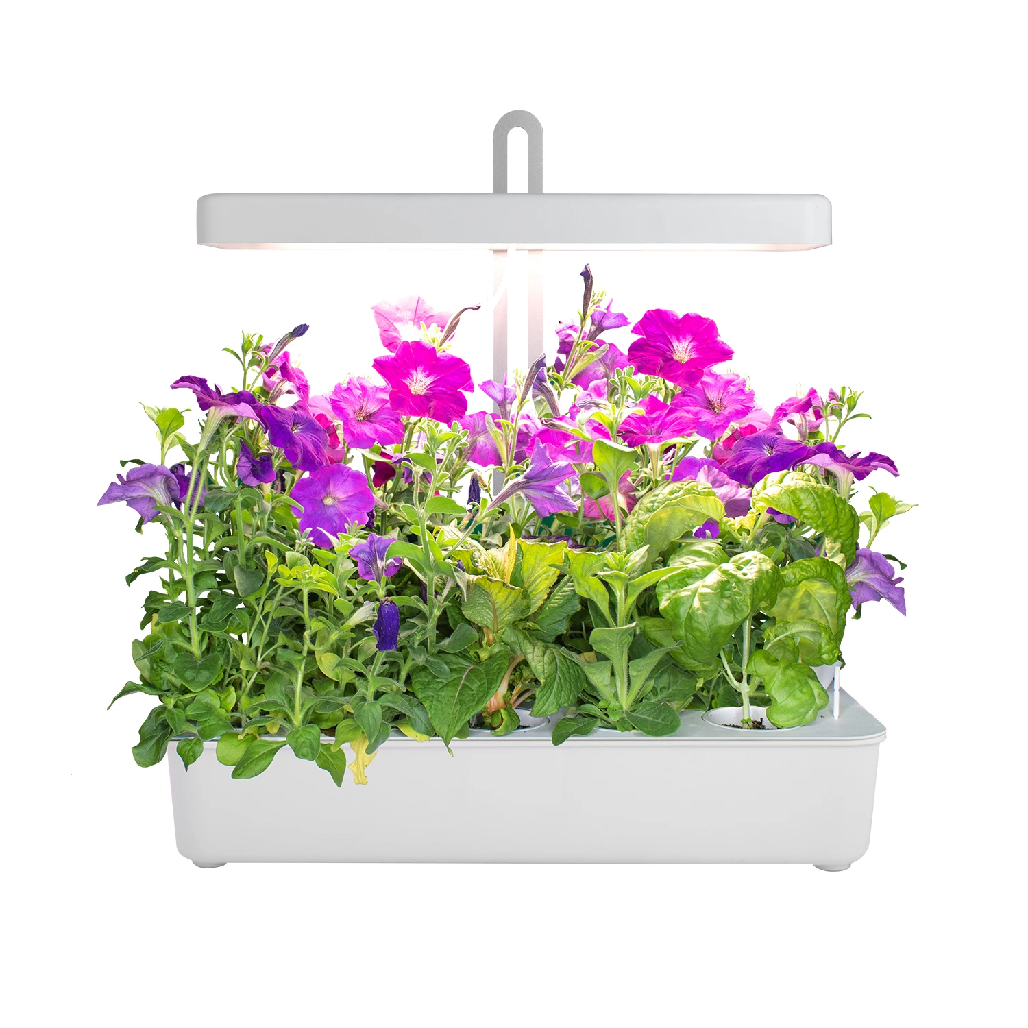 

J&C growing system indoor gardening growth light indoor smart garden hydroponics planter hydroponic garden system indoor