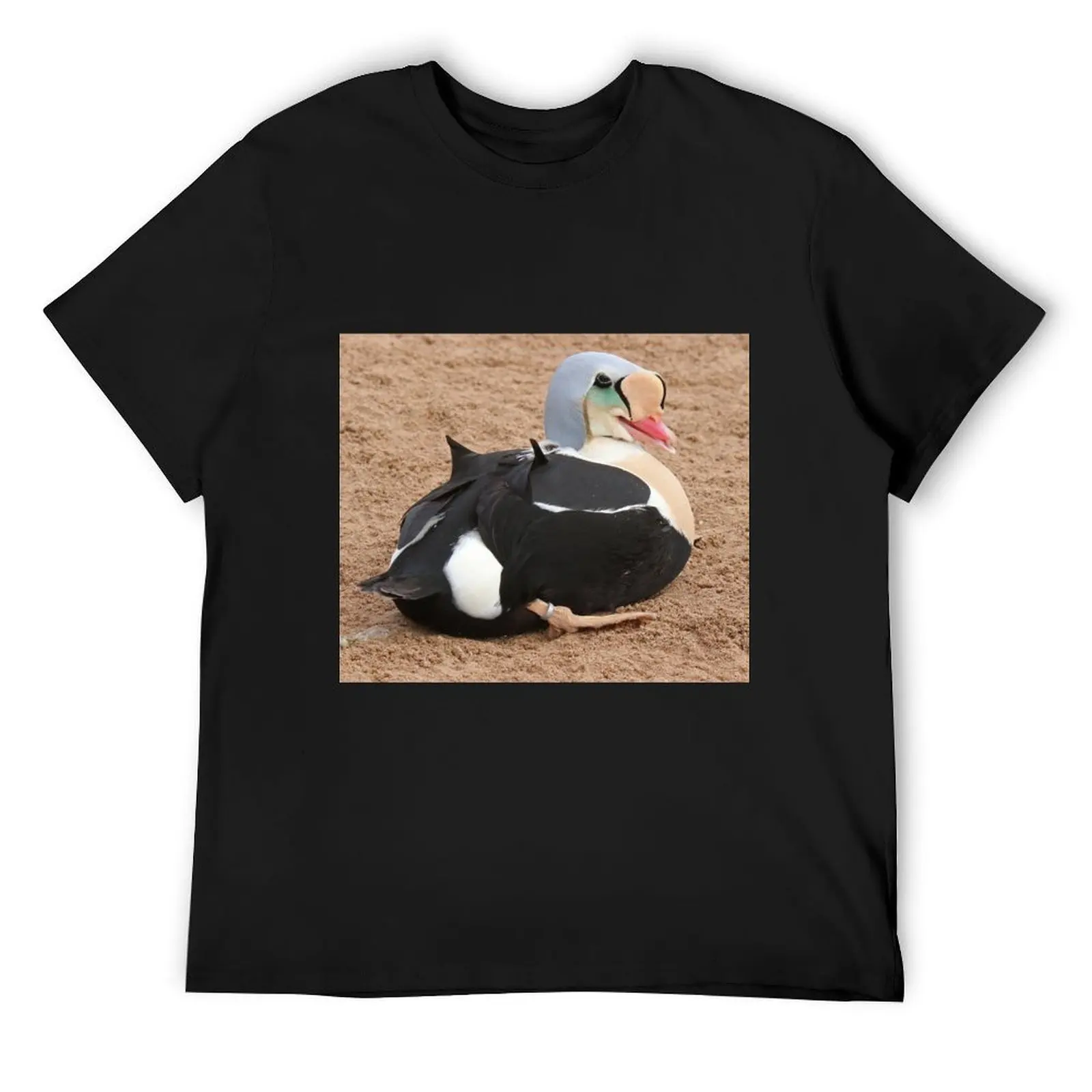 

King Eider T-Shirt vintage clothes plus size tops oversized t shirt anime clothes mens graphic t-shirts anime