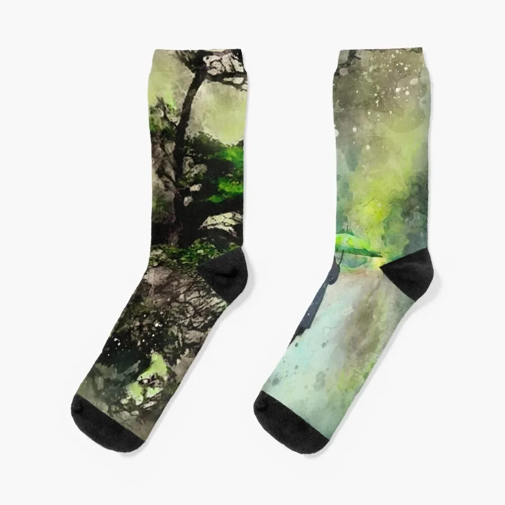 Walking in the nature Socks hockey christmas stocking bright garter colored Designer Man Socks Women's