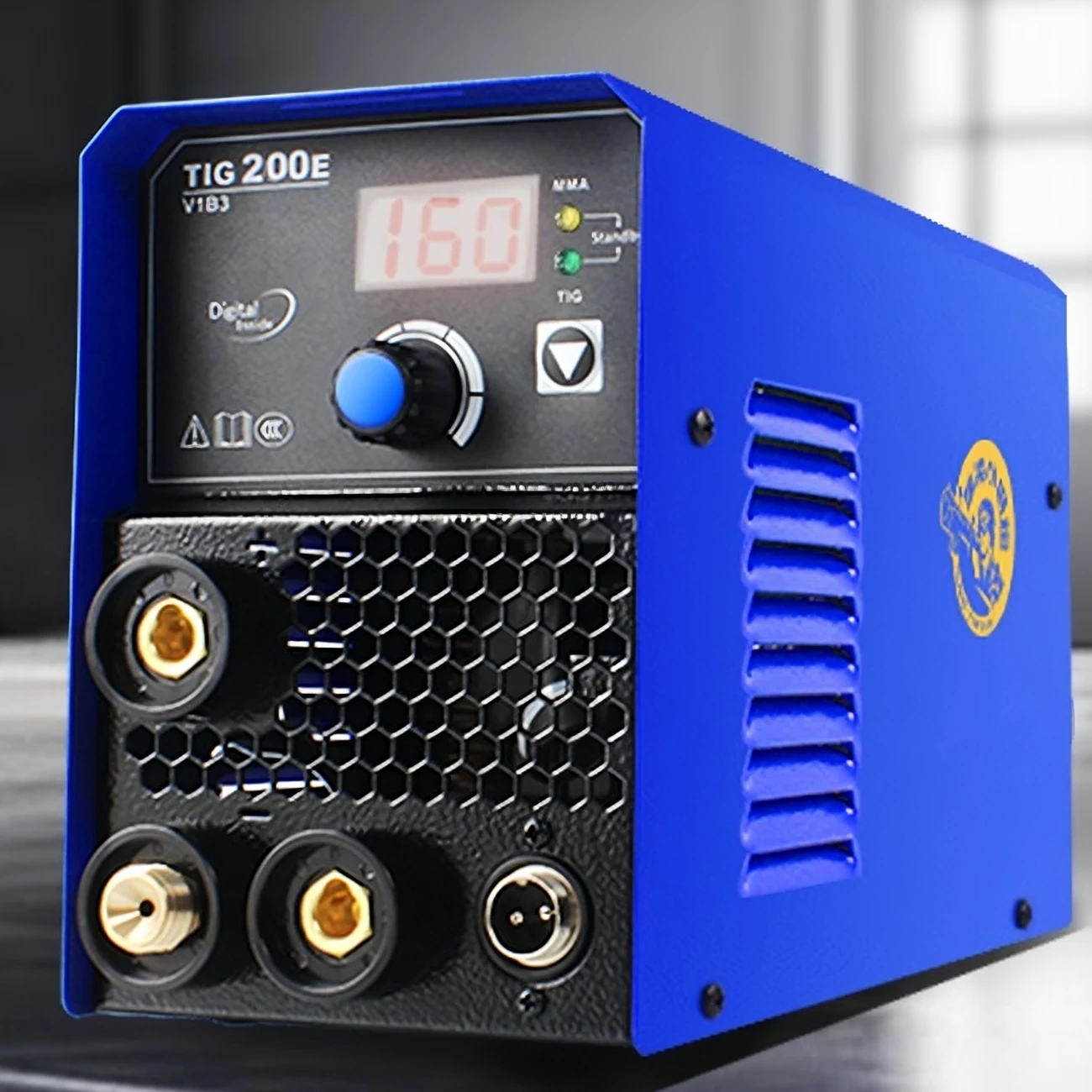 TIG200E Household Tig Welder 220V AC Argon Arc Welding Machine for Stainless Steel New Condition DC Tig Single-Use/Dual-Use