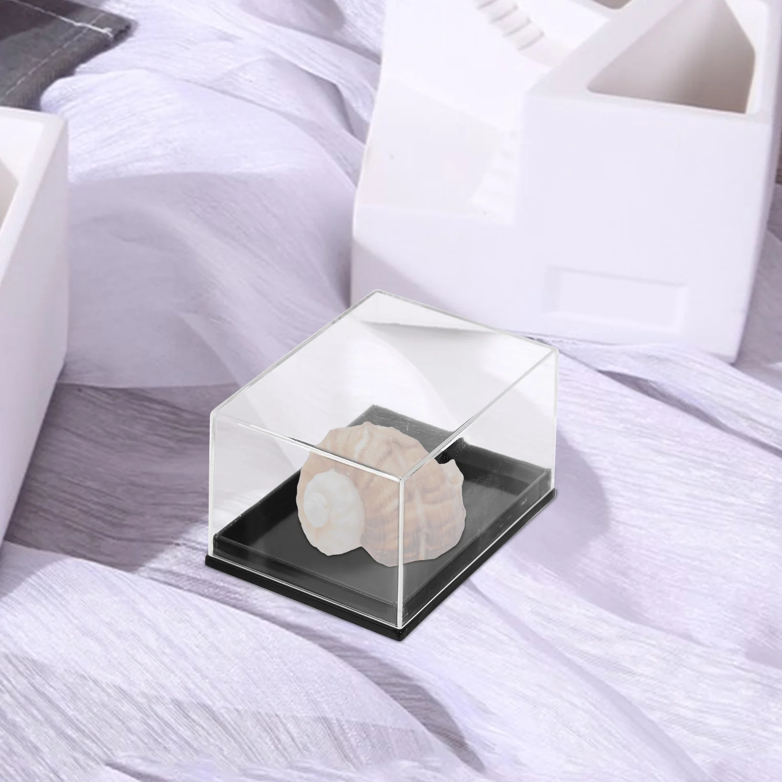 4pcs Transparent Specimen Boxes Clear Display Cases for Small Specimen Mineral Sample Craft Beads Storage Containers Sturdy