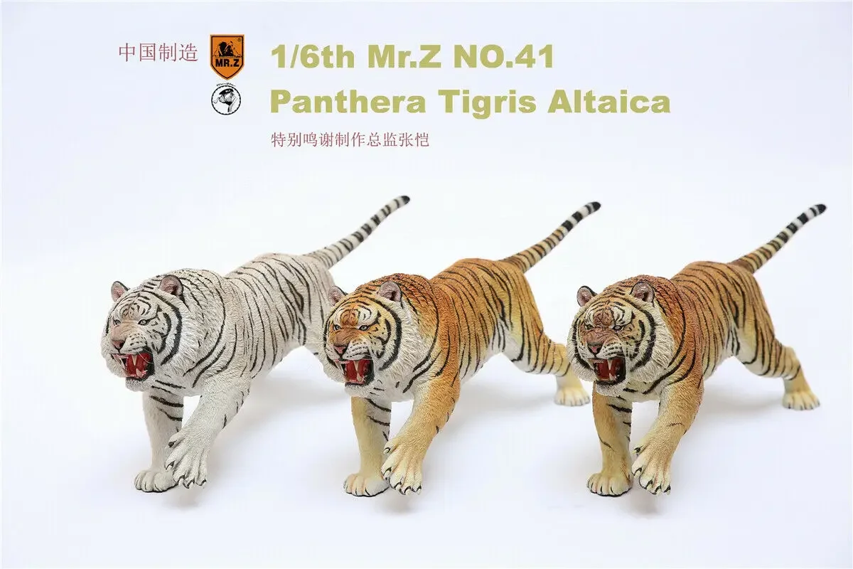 Mr.Z 1/6 Siberian Tiger Figure Animal Panthera Tigris Altaica Model Resin Toy Desktop Ornaments Decoration Dolls Adults Gifts