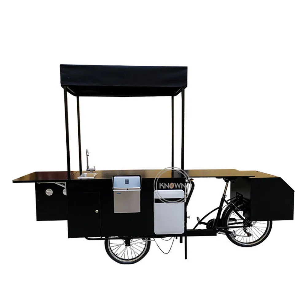 

Hot Selling Popsicle Display Tricycle Bicycle Cold Drinks Cargo Bikes for Mobile Ice Cream Business Solution with Water Sink