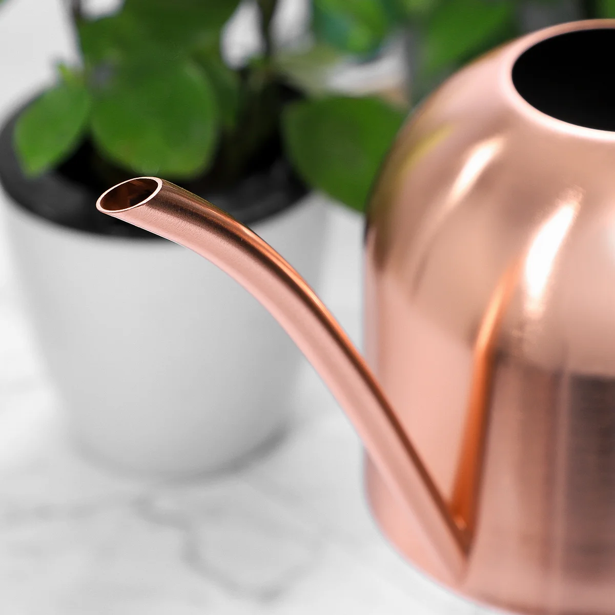 1000ml Stainless Steel Watering Can Indoor Plants Succulents Long Spout Watering Pot for Office (Copper)