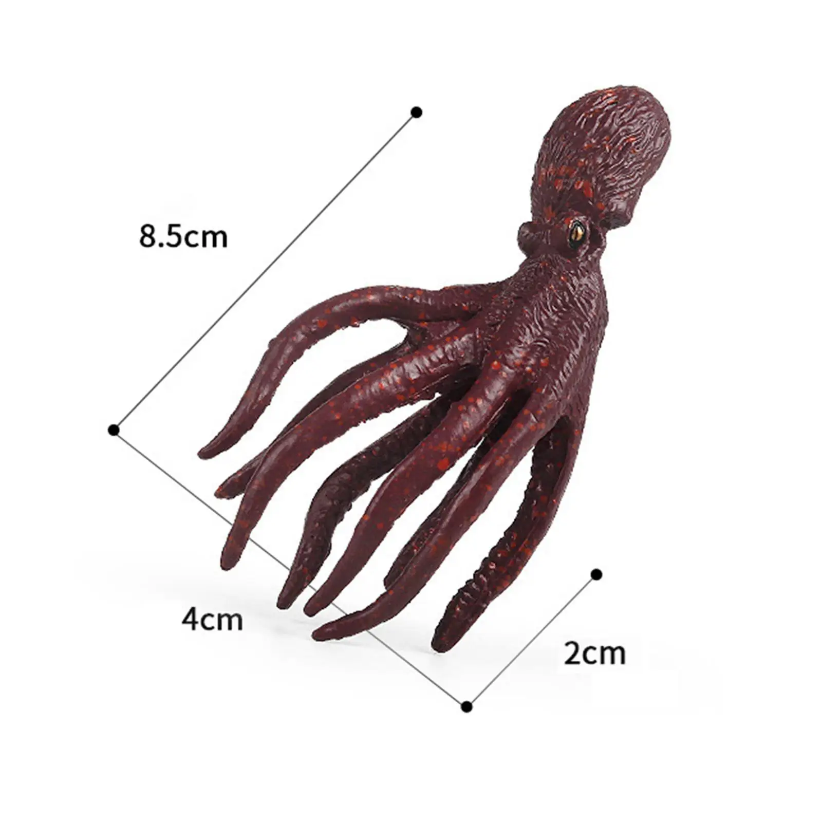 Lifelike Squid Figurine Model Toy, Figura Animal Marinha, Brinquedos científicos